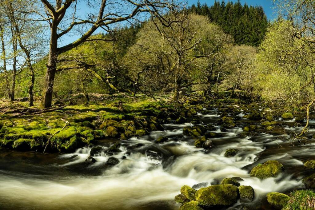 Charming Riverside Cottage In Snowdonia National Park Tanygrisiau Ngoại thất bức ảnh