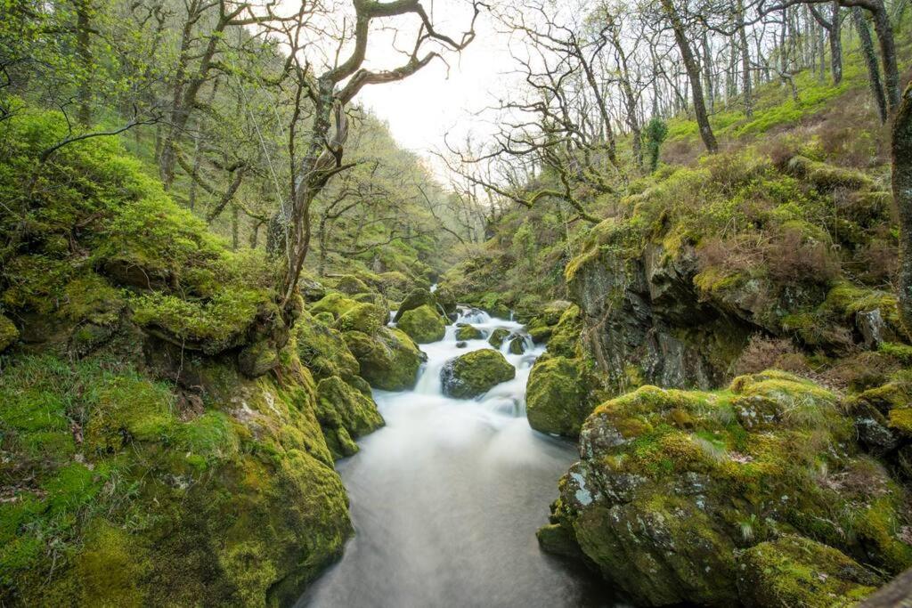 Charming Riverside Cottage In Snowdonia National Park Tanygrisiau Ngoại thất bức ảnh