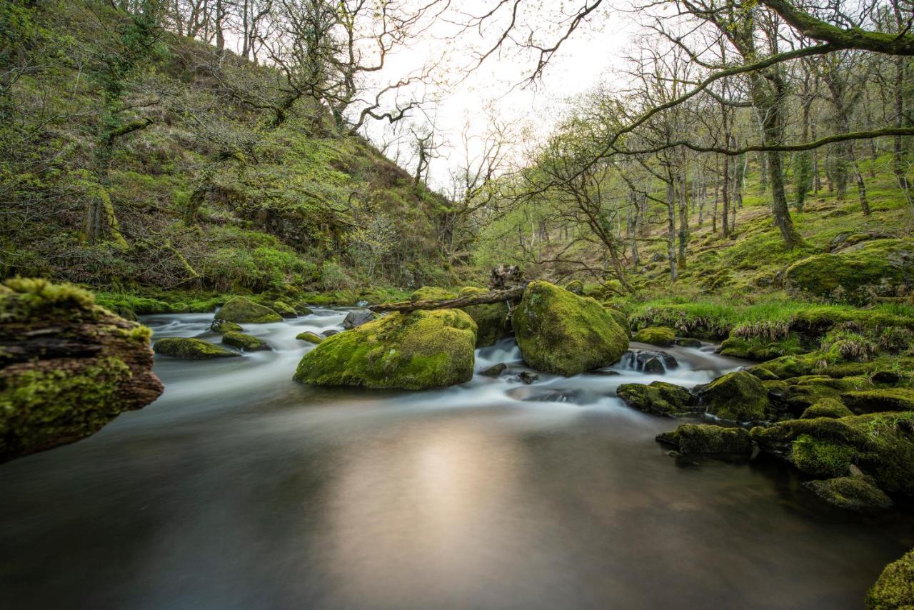 Charming Riverside Cottage In Snowdonia National Park Tanygrisiau Ngoại thất bức ảnh